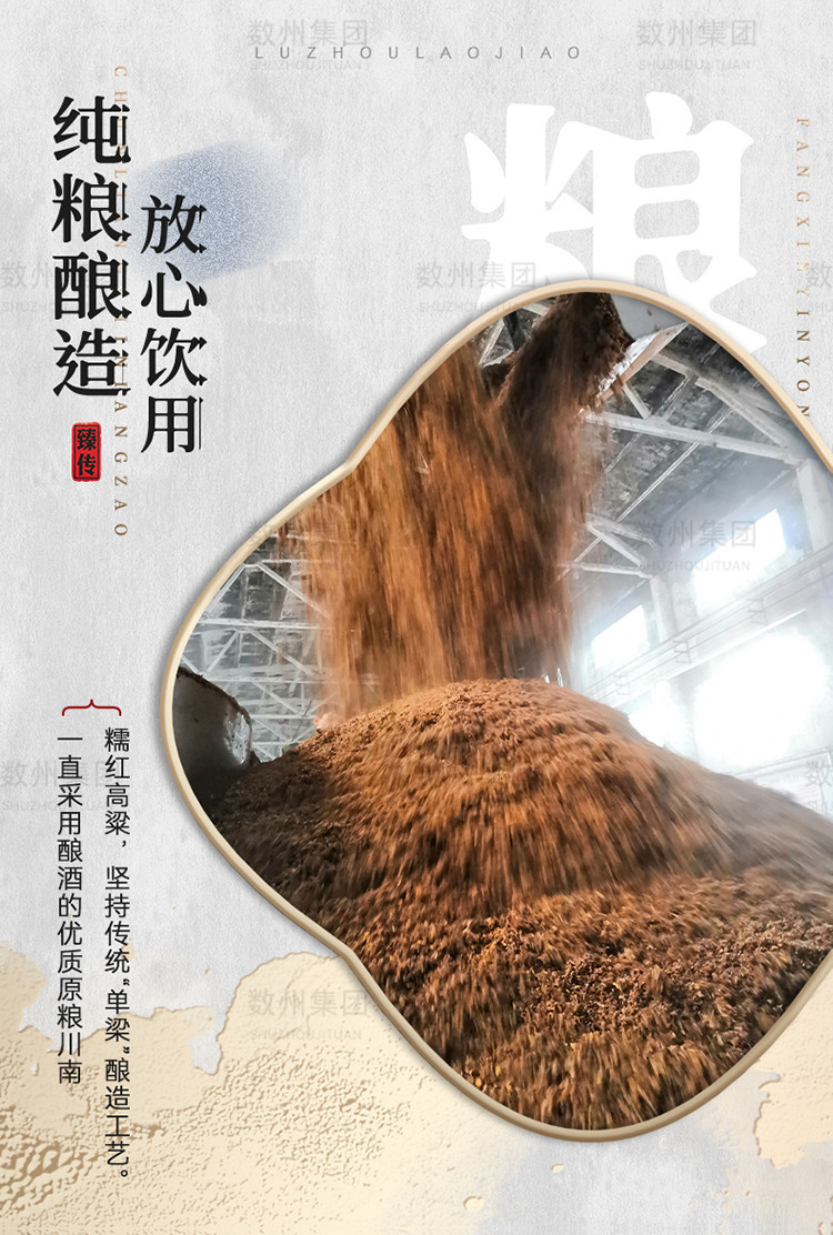 【精致礼盒】泸州老窖总厂出品泸州臻传52度浓香型酒水白酒整箱