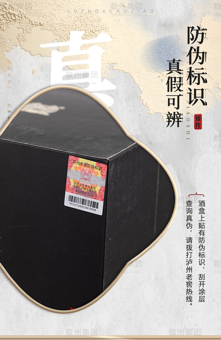 【精致礼盒】泸州老窖总厂出品泸州臻传52度浓香型酒水白酒整箱