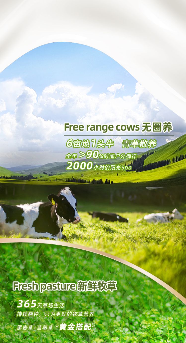 【送礼】新西兰进口4.0g蛋白全脂牛奶250ml*24盒整箱