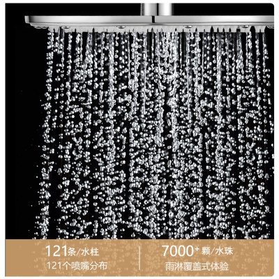 不锈钢淋浴花洒套装家用卫浴淋雨洗澡水龙头沐浴增压恒温喷头1286
