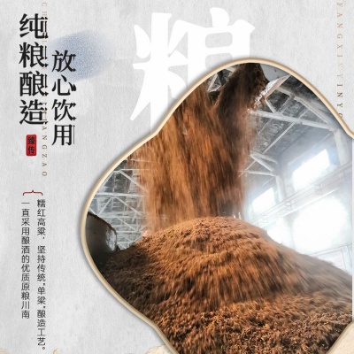 【精致礼盒】泸州老窖总厂出品泸州臻传52度浓香型酒水白酒整箱