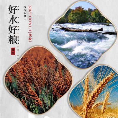 【精致礼盒】泸州老窖总厂出品泸州臻传52度浓香型酒水白酒整箱