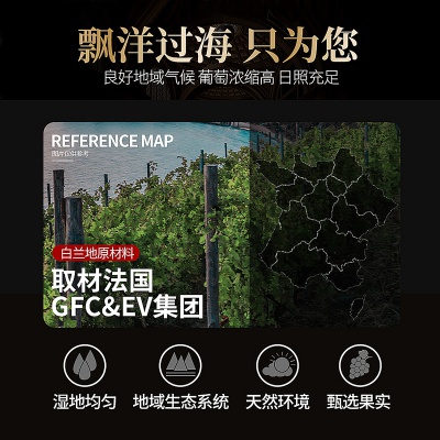 沃歌堡法国xo洋酒白兰地酒40度700ml烈酒礼盒装XO1支+礼盒