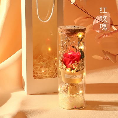满天星干花玻璃罩永生花向日葵玫瑰摆件送女友生日礼盒