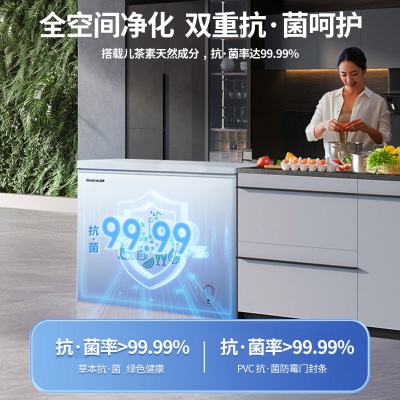 【高效减霜80%】205升冰柜冷柜家用大容量卧式商用一级能效节能