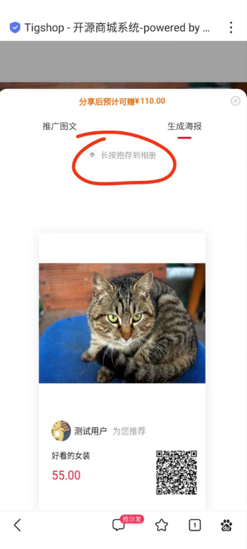 分销员中心 推广商品-立即分享-生成海报页面有错别字的文章封面图