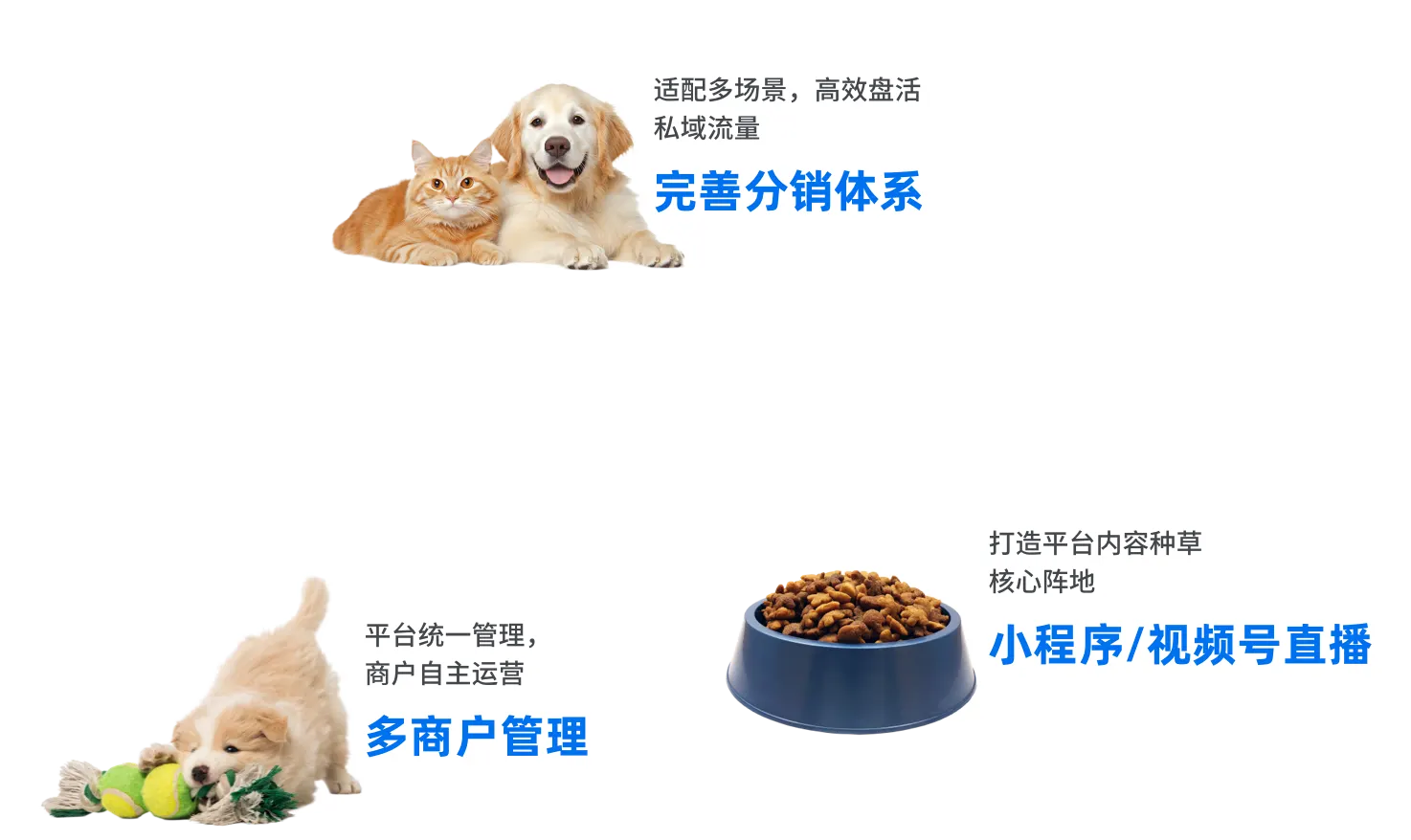 Tigshop 视频号、地图 POI 与小程序全渠道增长场景展示